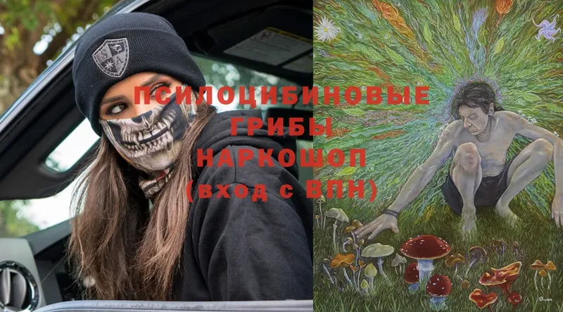 Псилоцибиновые грибы Psilocybine cubensis  как найти закладки  Заречный 